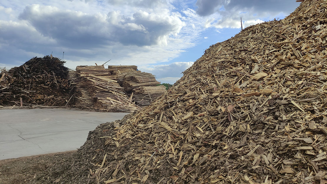 Biomassa: Uma Energia Renovável em Destaque no Brasil